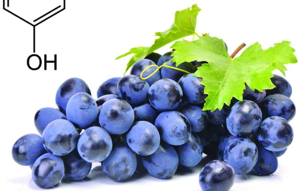 Which Resveratrol.png